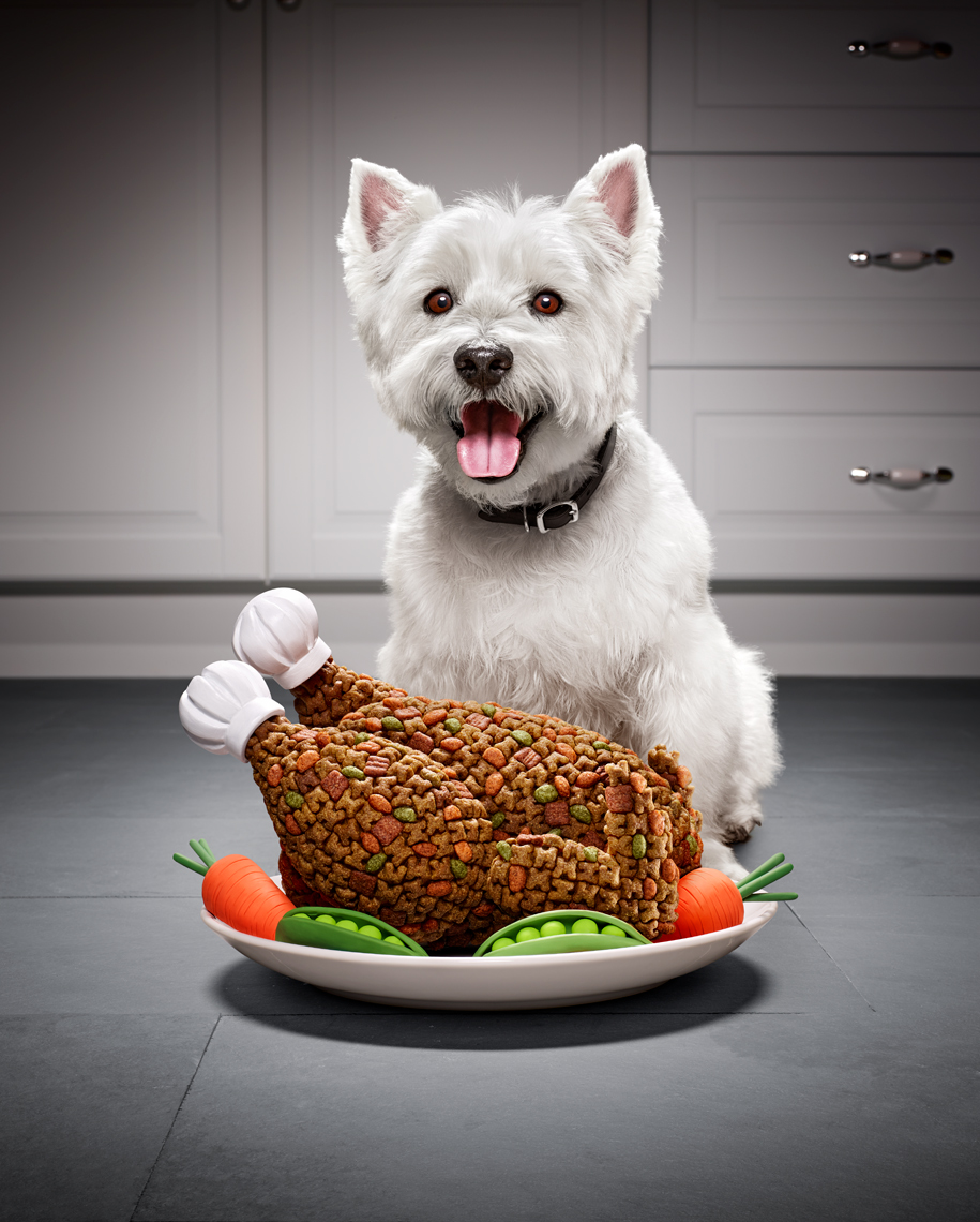 Cesar Dog Food Image Composite and Retouching