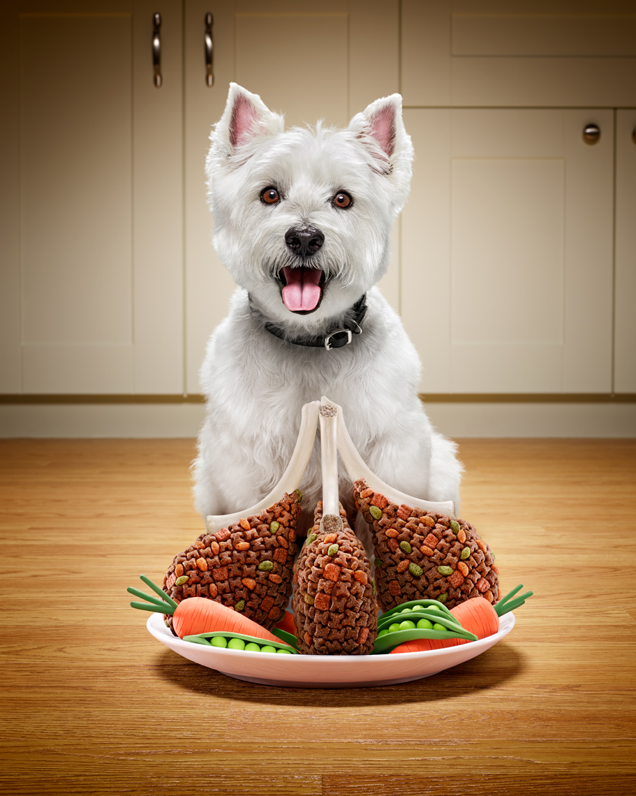 Cesar Dog Food Image Composite and Retouching